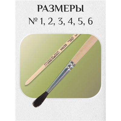 Набор кистей белка 60920