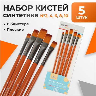 Набор кистей для рисования, синтетика, 5 штук: № 2, 4, 6, 8, 10, плоские, в блистере, международный размер