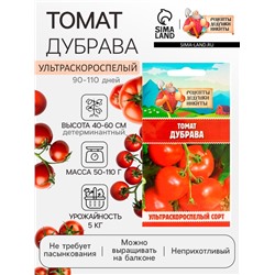 Семена Томат "Дубрава", 0,05 г