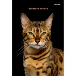 Записная книжка на спирали А5  80л "БЕНГАЛЬСКИЙ КОТ" 80-6750 Проф-Пресс