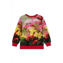 Свитшот PLAYTODAY, 751422