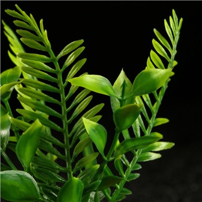 Растение искусственное аквариумное, 18×9×14 см