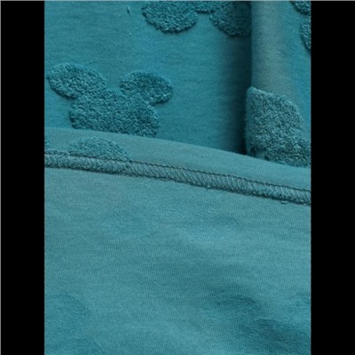 Футболка Ирбис (Махра петроль микки)