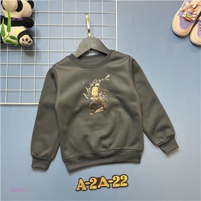 Толстовка 1812889-1