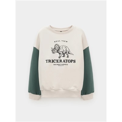 CROCKID Свитшот КР 302851