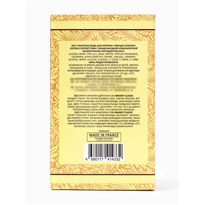 Туалетная вода мужская Brandy Classic, 100 мл