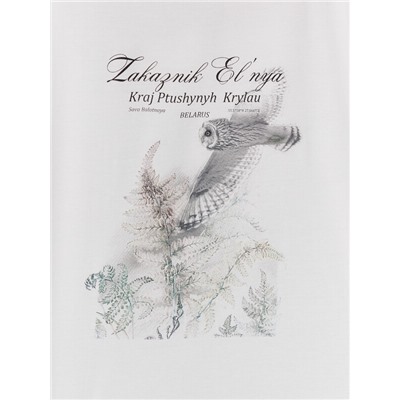 ФУТБОЛКА ДЛЯ ДЕВОЧЕК 117843