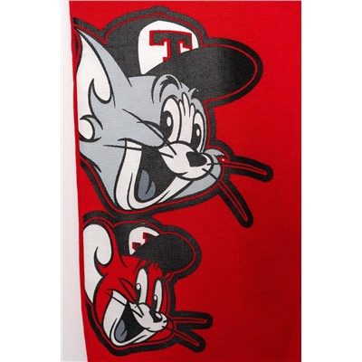 Комплект детский трикотажный для мальчиков: толстовка, брюки PLAYTODAY, 1243388