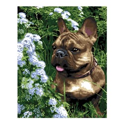 УЦЕНКА Картина по номерам холст на подрамнике 40×50 см «На летней прогулке» Рх-111