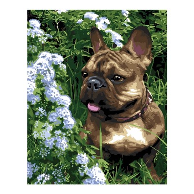 УЦЕНКА Картина по номерам холст на подрамнике 40×50 см «На летней прогулке» Рх-111