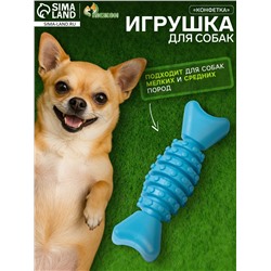 Игрушка жевательная «Конфетка», TPR, 12 см, голубая