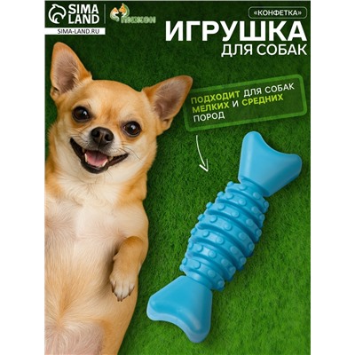 Игрушка жевательная «Конфетка», TPR, 12 см, голубая