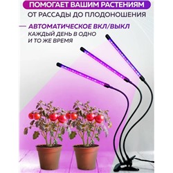 Лампа #23307435