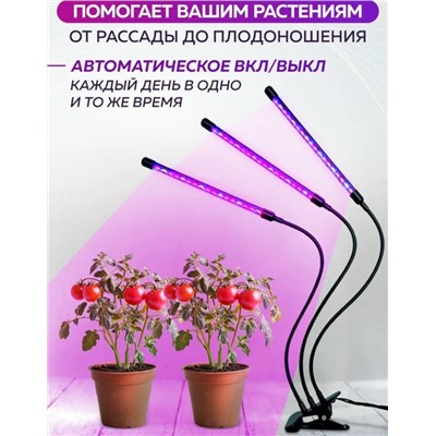 Лампа #23307435