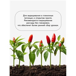 Семена Перец «Беладонна» F1, 7 шт. Seminis «Агрос»