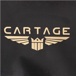 Термосумка Cartage Т-14, черная, 10 л, 26×19×19 см