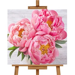 Мозаика алмазная "Пионы" 20*20см.