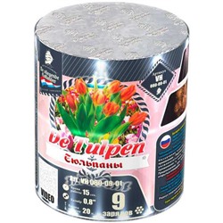 Фейерверк VH080-09-01 Тюльпаны / Tulpen (0,8" х 9)