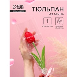 Мыльный тюльпан, красный