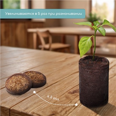 Таблетки торфяные, для рассады, d=3.6 см, с оболочкой, набор 50 шт.