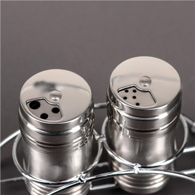 Набор для специй из нержавеющей стали на подставке «Металлик», 100 мл, 2 шт., цвет серебряный