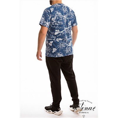 Футболка М12016в