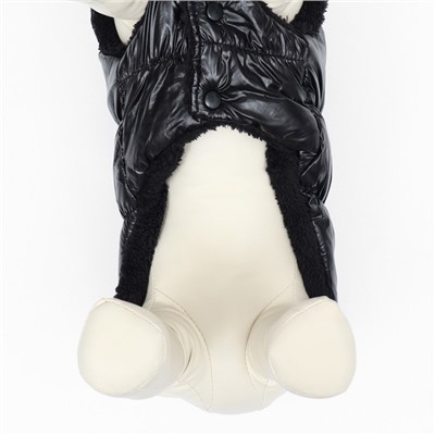 Куртка для собак «Блеск», 3XL (ДС 50, ОГ 68, ОШ 44 см), чёрная