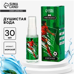 Душистая вода для мальчиков «Аромат победителя», аромат спа соль, 30 мл