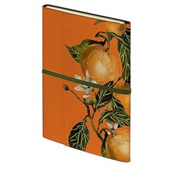 Ежедневник недатированный А5 192 стр. на резинке "ФЛОРА. РАЙСКИЕ АПЕЛЬСИНЫ/FLORA.PARADISE.Oranges" 3-818/05 Bruno Visconti