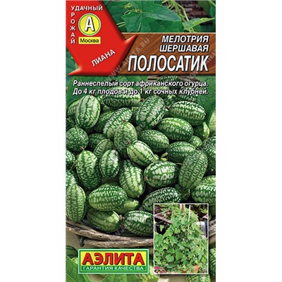 0612A Мелотрия (Мышиная дыня) Полосатик 10 шт