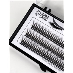 Набор накладных ресниц «Ласточкин хвост», пучки, 12 мм, толщина 0.1 мм, изгиб С, 12 D