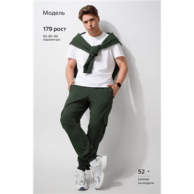 Мужские брюки из футера двухнитки Happyfox