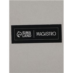 Чайник заварочный Magistro, «Свик», 600 мл 20×11 см, с металлическим фильтром, стекло, прозрачный