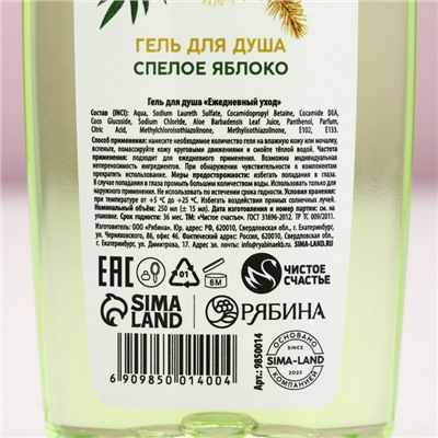 Гель для душа «С Новым Годом!», 250 мл, аромат спелого яблока, Чистое счастье