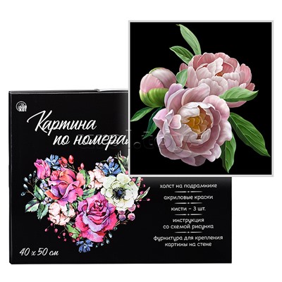 Холст с красками 40х50 см по номерам "Нежные пионы" (30цв.)