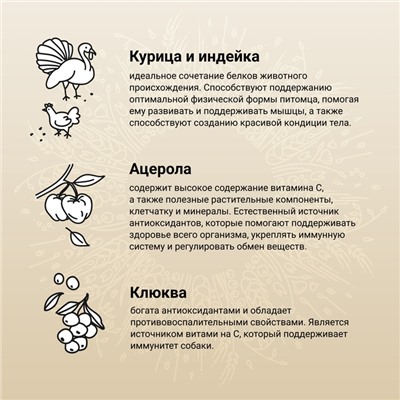 Сухой корм CRAFTIA NATURA для взрослых собак миниатюрных и мелких пород из курицы и индейки 2 кг 1