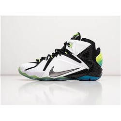 Кроссовки Nike Lebron 12