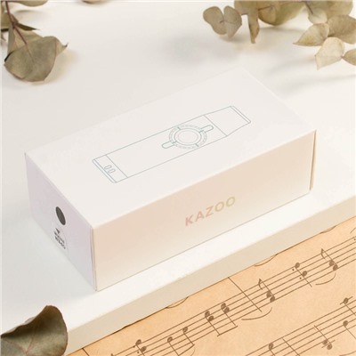 Казу музыкальный инструмент Music Life, черный