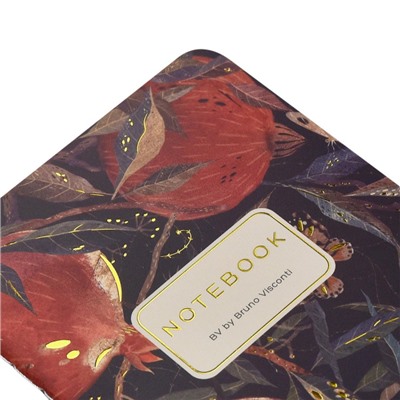 Записная книжка А6  30л клетка "ГРАНАТ" 7-30-001/24 Bruno Visconti