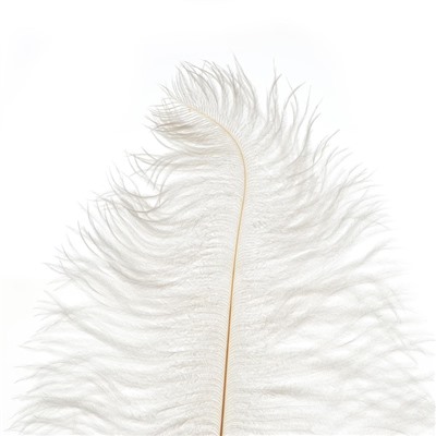 Перо для декора 1 шт., длина от 45 до 50 см, цвет белый