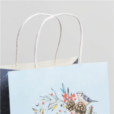 Пакет подарочный новогодний крафтовый «Морозное утро», 22×25×12 см