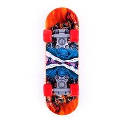 Игрушка для птиц «Скейт», МИКС