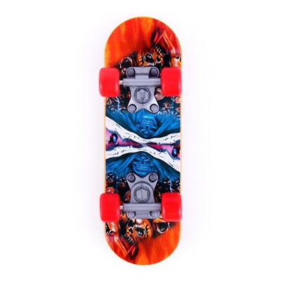 Игрушка для птиц «Скейт», МИКС