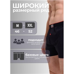 Мужские трусы семейные Oztas