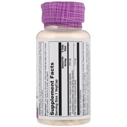 Solaray, Экстракт семян расторопши, для приема один раз в день, 350 мг, 60 вегетарианских капсул