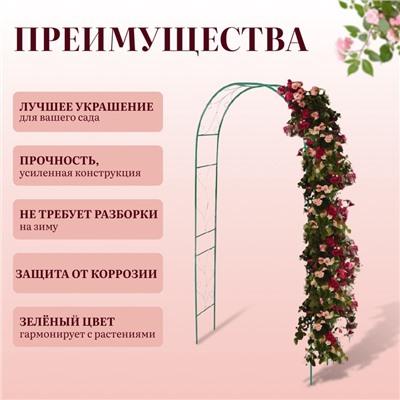 Арка садовая, 240×120×36.5 см, для вьющихся растений, металлическая, зелёная, «Веточка», Greengo