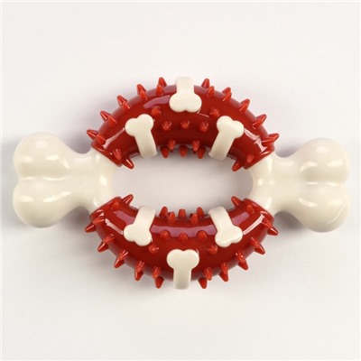 Игрушка для собак «Кость» Пижон Premium, 12.5 см, TPR+нейлон