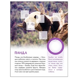 Мир животных с наклейками. Кто живёт в зоопарке?