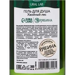 Подарочный набор Bright Christmas night, гель для душа 300 мл и соль для ванны 200 мл, URAL LAB