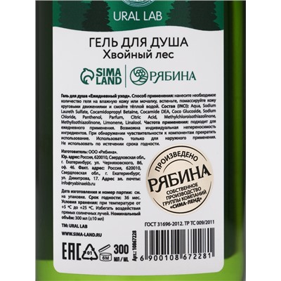 Подарочный набор Bright Christmas night, гель для душа 300 мл и соль для ванны 200 мл, URAL LAB